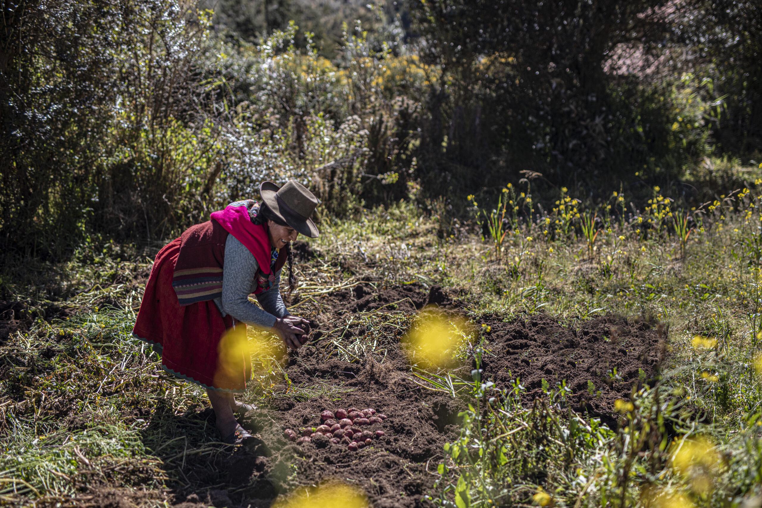 Bolivia alista su segunda planta de fertilizantes, cuya producción será exclusivamente para exportación