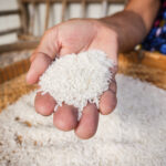 Escasez de fertilizantes afectará al próximo cultivo de arroz